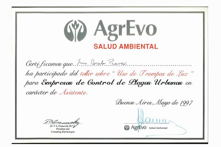 Certificado 4