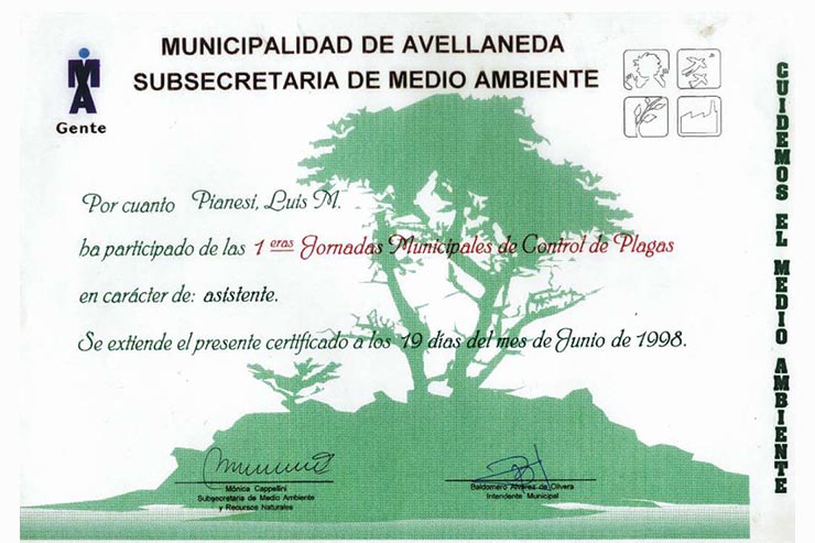 Certificado 5